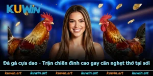 Đá Gà Cựa Dao - Trận Chiến Đỉnh Cao Gay Cấn Nghẹt Thở Tại Sới