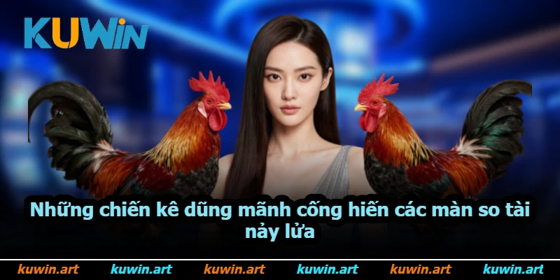 Những chiến kê dũng mãnh cống hiến các màn so tài nảy lửa Những chiến kê dũng mãnh cống hiến các màn so tài nảy lửa