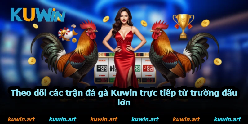 Theo dõi các trận đá gà Kuwin trực tiếp từ trường đấu lớn Theo dõi các trận đá gà Kuwin trực tiếp từ trường đấu lớn