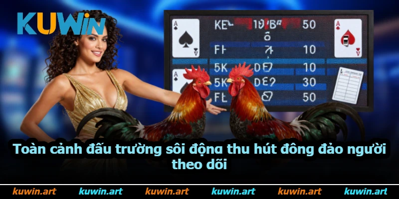Toàn cảnh đấu trường sôi động thu hút đông đảo người theo dõi