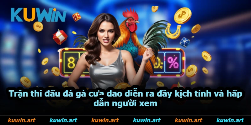 Trận thi đấu đá gà cựa dao diễn ra đầy kịch tính và hấp dẫn người xem