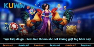 Trực Tiếp Đá Gà - Xem Live Thomo Sắc Nét Không Giật Lag Hôm Nay