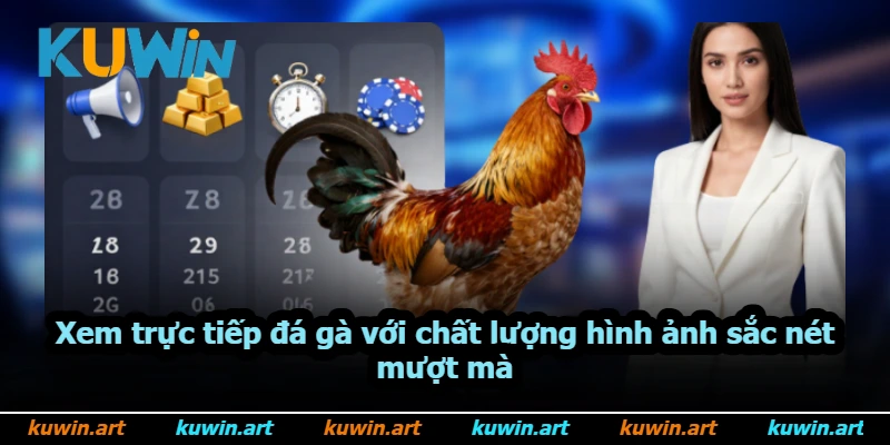 Xem trực tiếp đá gà với chất lượng hình ảnh sắc nét mượt mà
